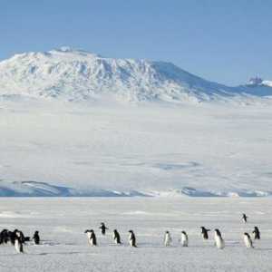 Vulcanii din Antarctica - secretele nedivulgate