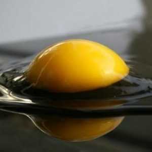 Aflați cât de mult proteine ​​în oul de pui