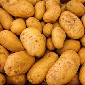 Cultivarea cartofilor: metode, tehnologii și condiții