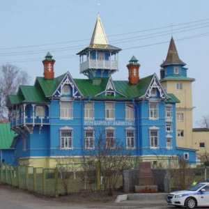 Vyritsa (regiunea Leningrad) - un sat de vacanță minunat