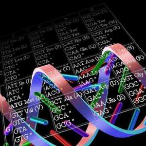 Degenerarea codului genetic: informații generale
