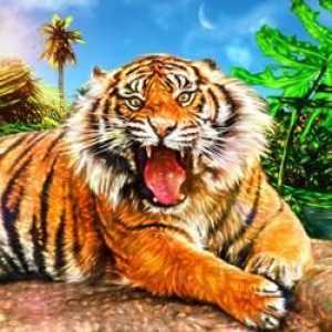 Să ne uităm la cartea de vis: la ce visează un tigru?
