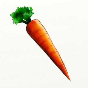 Lecții cu copii: cum să atragă morcovii în etape