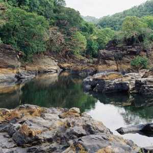Rezervele sunt zone protejate de natură pură