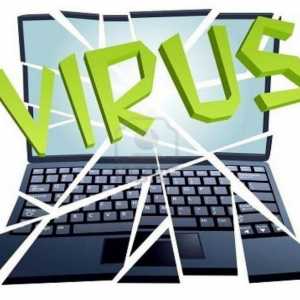 Infecția cu un virus de calculator poate apărea în timpul lucrului cu fișierele?