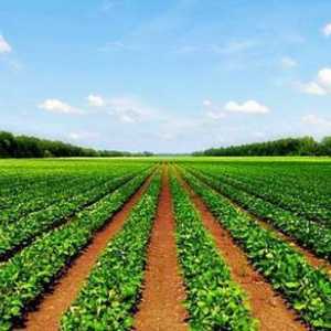 Земли сельскохозяйственного назначения - это... Перевод земель сельскохозяйственного назначения в…