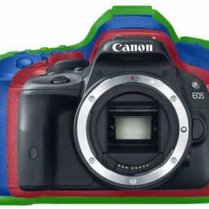 Mirror Camera Canon EOS 60D: specificații și recenzii