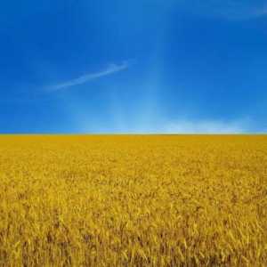 Steagul galben-albastru al Ucrainei, istoria sa și soarta