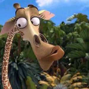 Girafa din Madagascar: caracter, aspect, obiceiuri