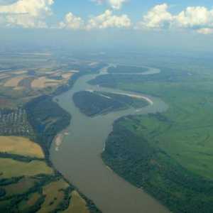 Animalele și plantele din râul Ob - studiem pământul nativ