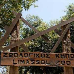 Limassol Zoo: o descriere a modului de a ajunge acolo, caracteristici, modul de operare și fapte…