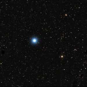 Star Cluster: definiție, caracteristici și specii